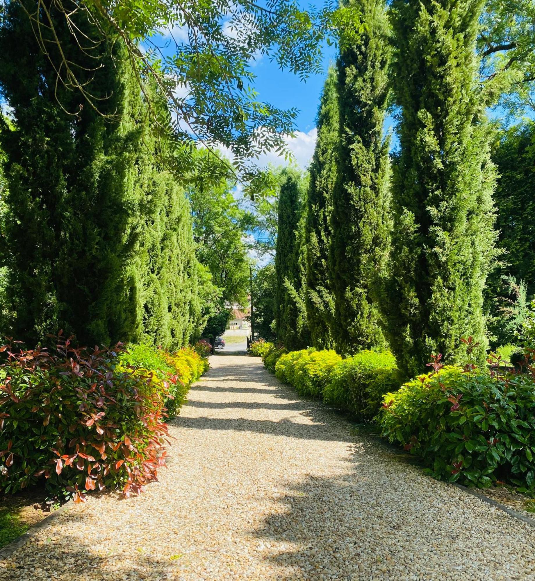 Moulin Du Fontcourt Bed & Breakfast Chasseneuil-sur-Bonnieure Екстериор снимка